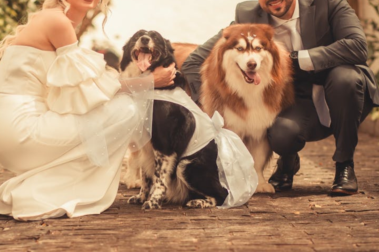 An animal-loving marriage celebrant, Cassie encourages couples to include their beloved dogs in their milestone celebrations.